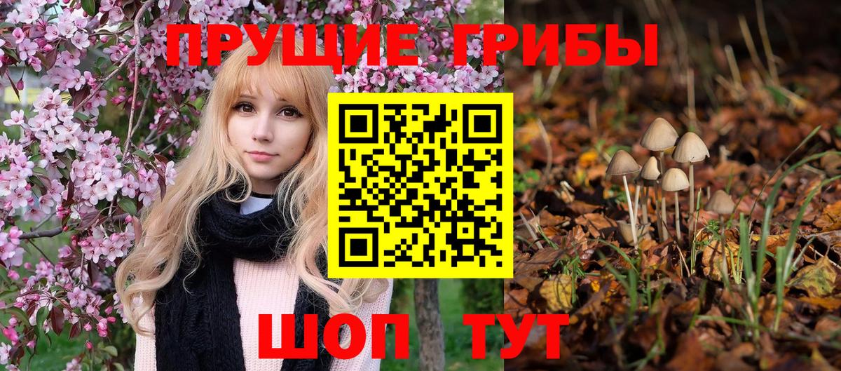 Псилоцибиновые грибы MAGIC MUSHROOMS Ярцево