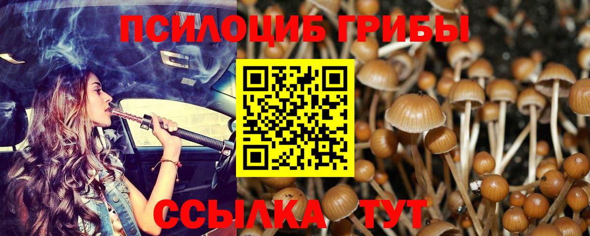 Псилоцибиновые грибы MAGIC MUSHROOMS  Псилоцибиновые грибы прущие грибы  Ярцево  Вход с VPN 